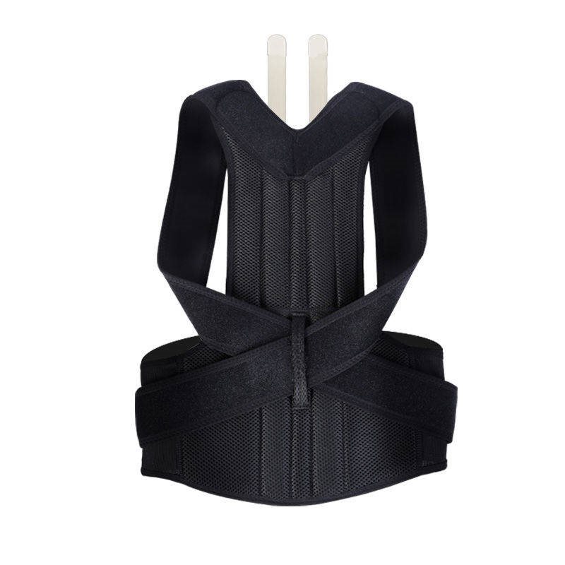 "Velora Wild posture corrector titanium keel and dual bone support structure"