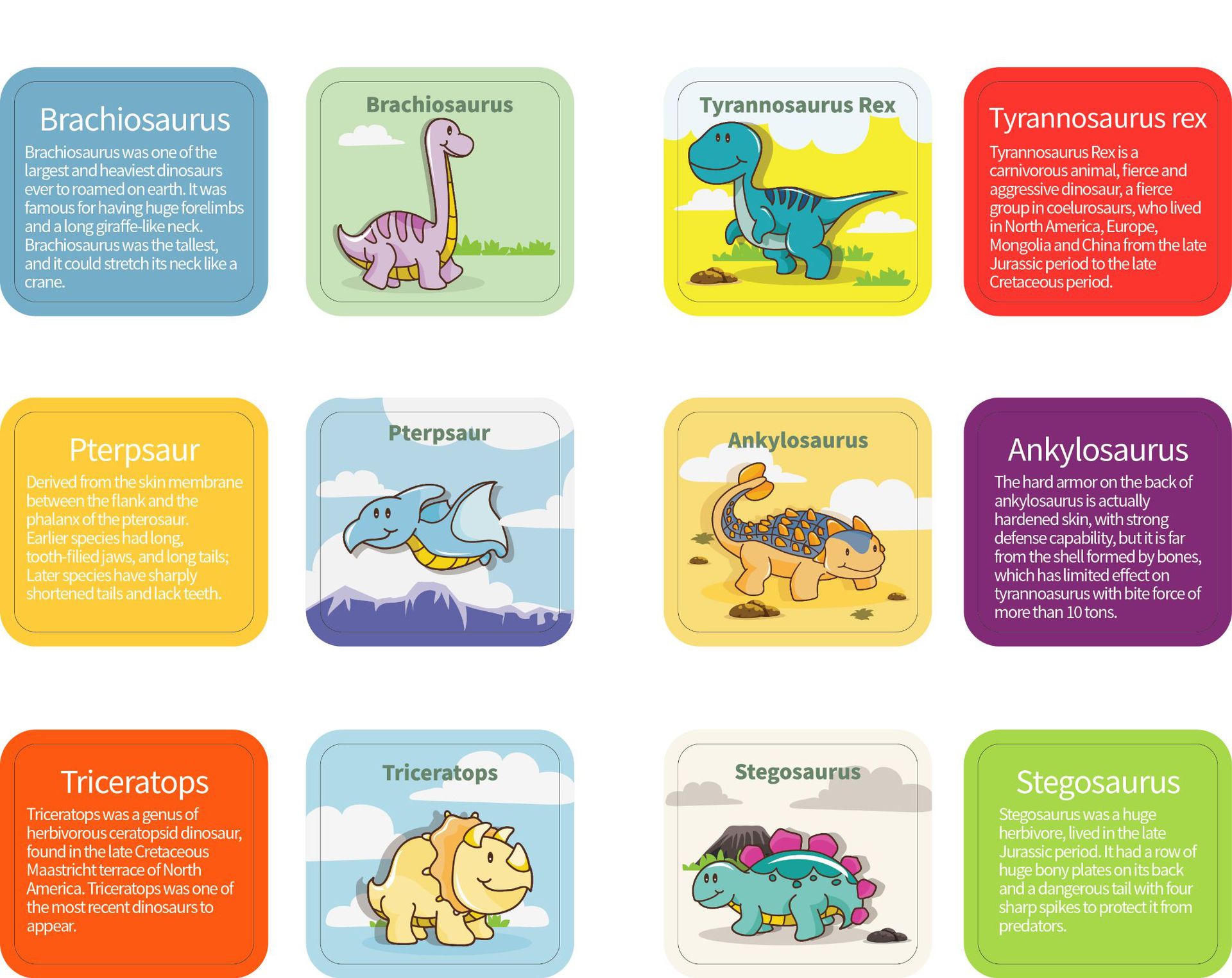 Rainbow Counting & sorting educational toy — Animal Cognition theme"