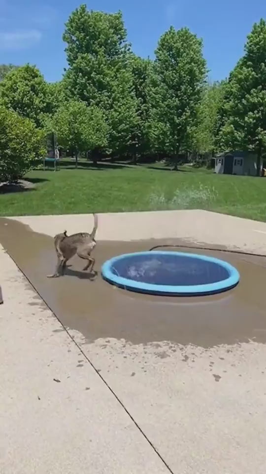 inflatable water mat — backyard summer fun"
"Kids & pet splash pad — packaging overview"