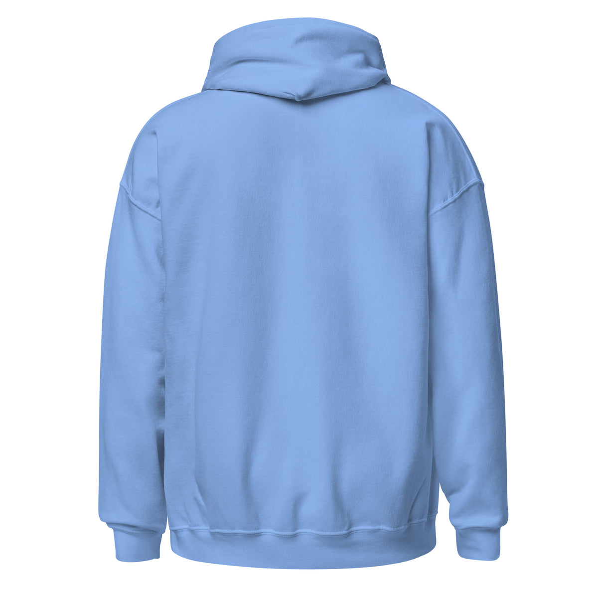 Velora Wild Golden Retriever Art Hoodie – Carolina Blue, back view